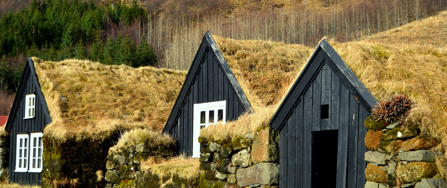 Iceland's Magical Northern Lights
