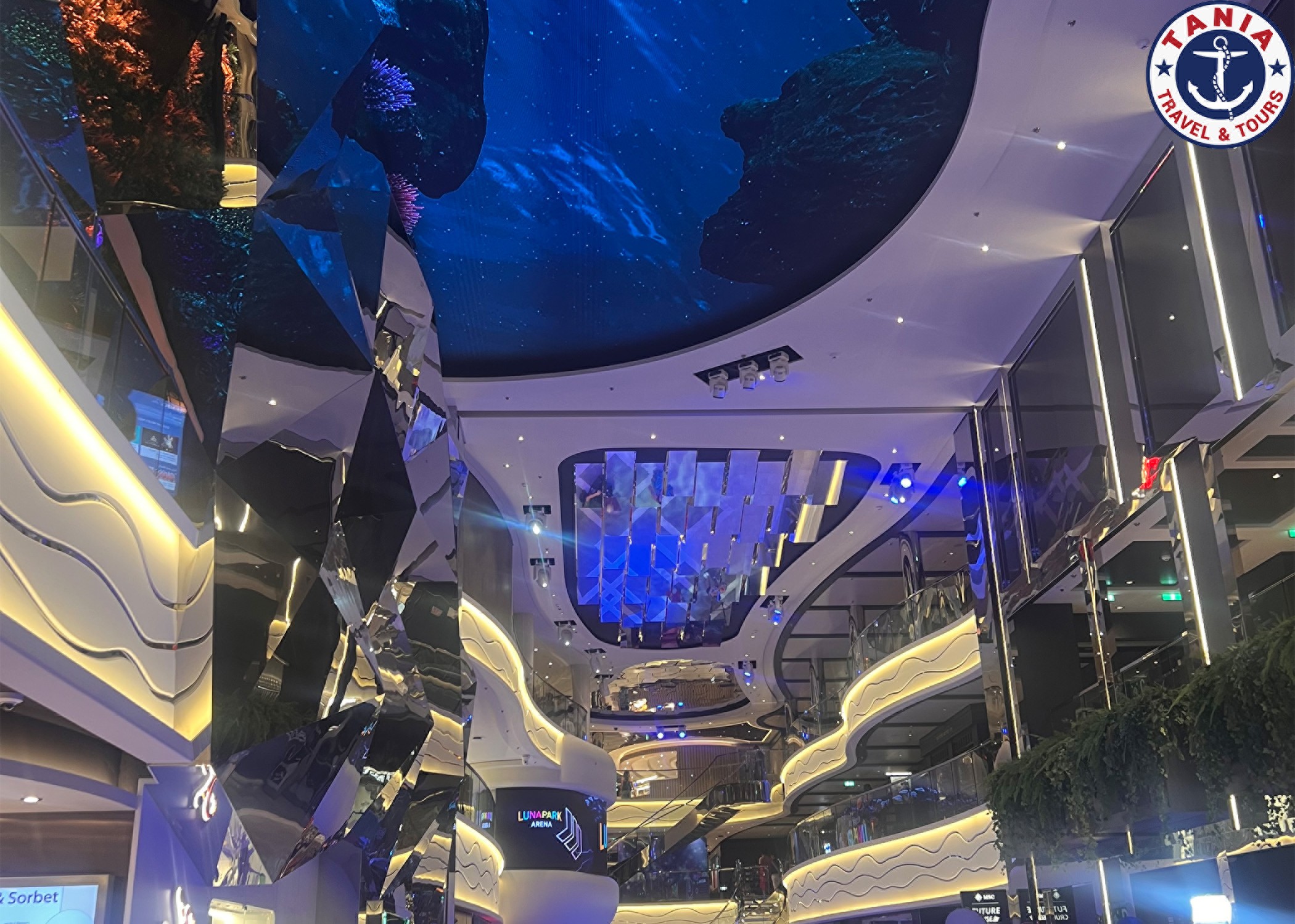 MSC WORLD AMERICA Christmas